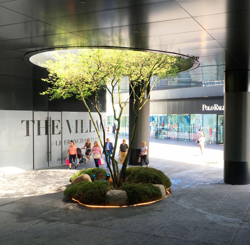 In the commercial promenade, the tree always has a prominent place and surprises the visitor with its elegant silhouette