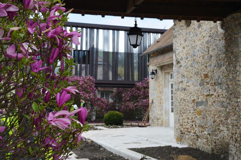 The long-awaited spring flowering of magnolias